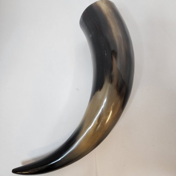 Water Buffalo Horn average 12-15 inch - Picture 8 of 11